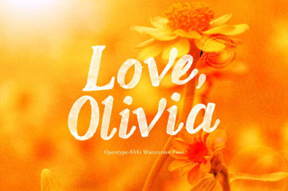 How the Love, Olivia Font Shapes Digital Brand Experiences